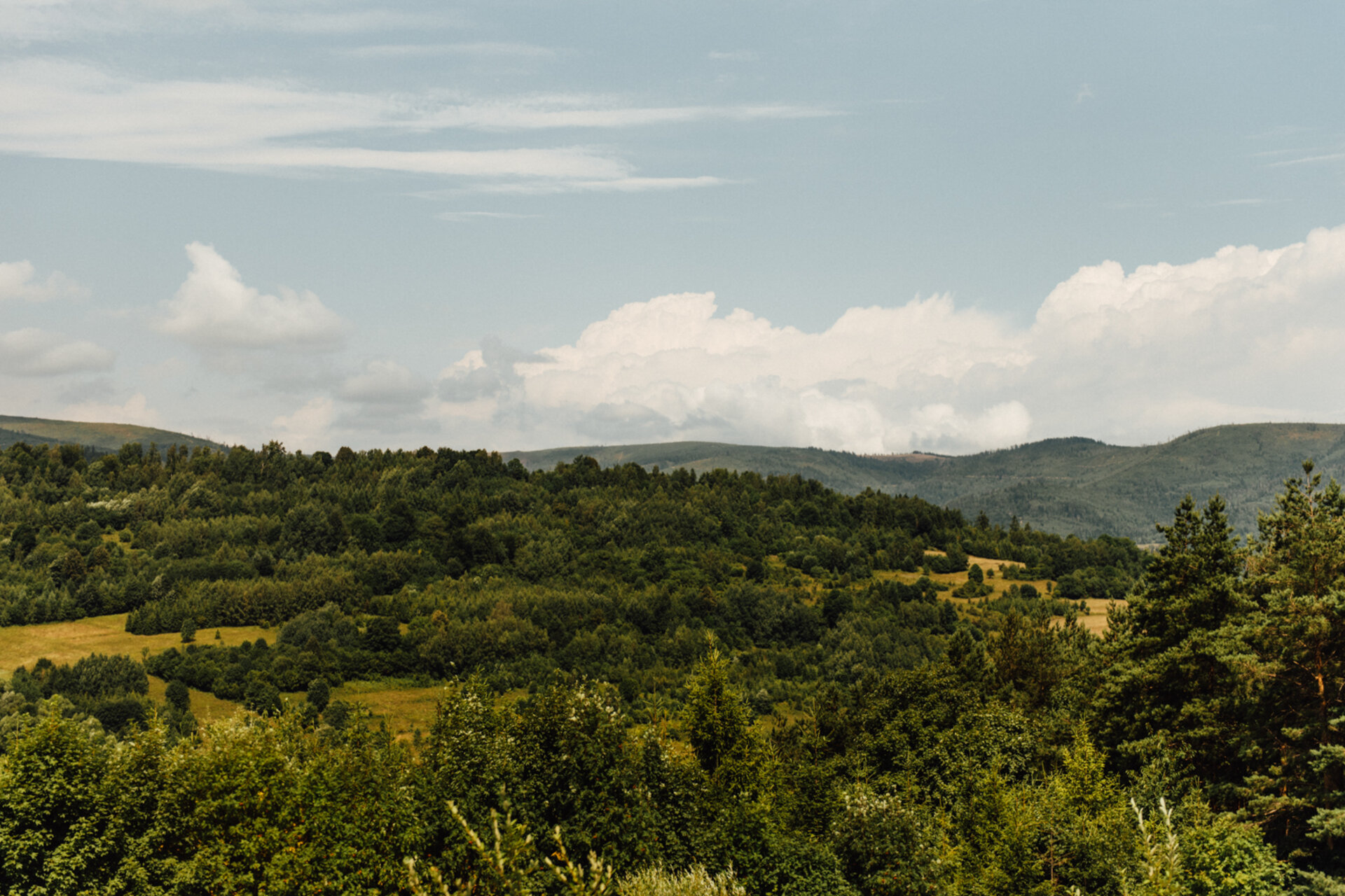 Forested summer hills of the Beskid mountains under a blue sky with clouds